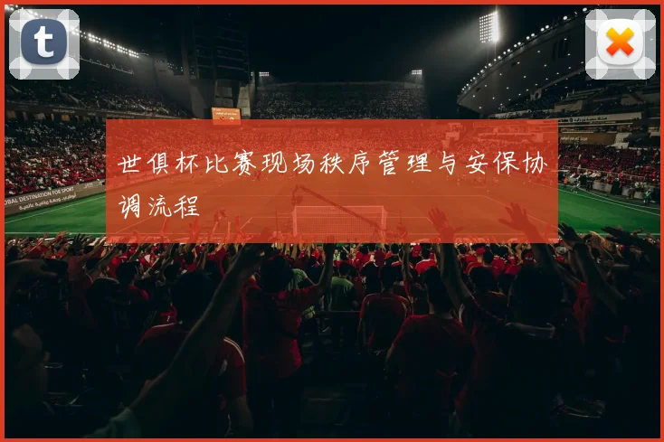 世俱杯比赛现场秩序管理与安保协调流程