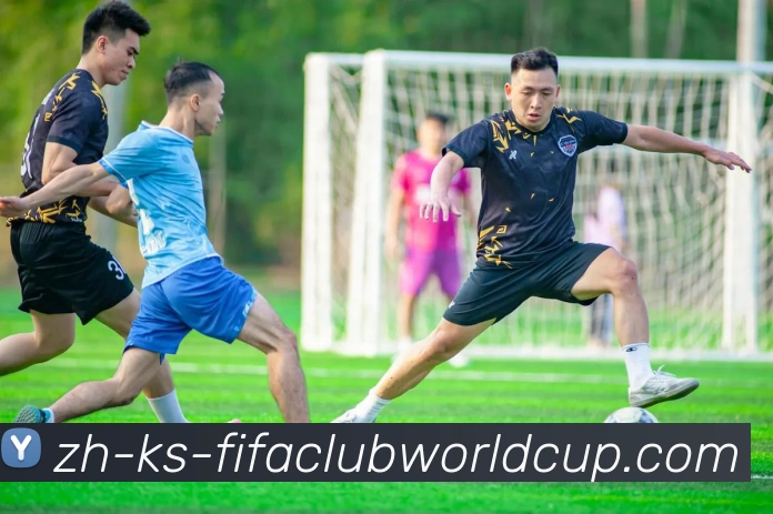 世界杯赛程服务体系